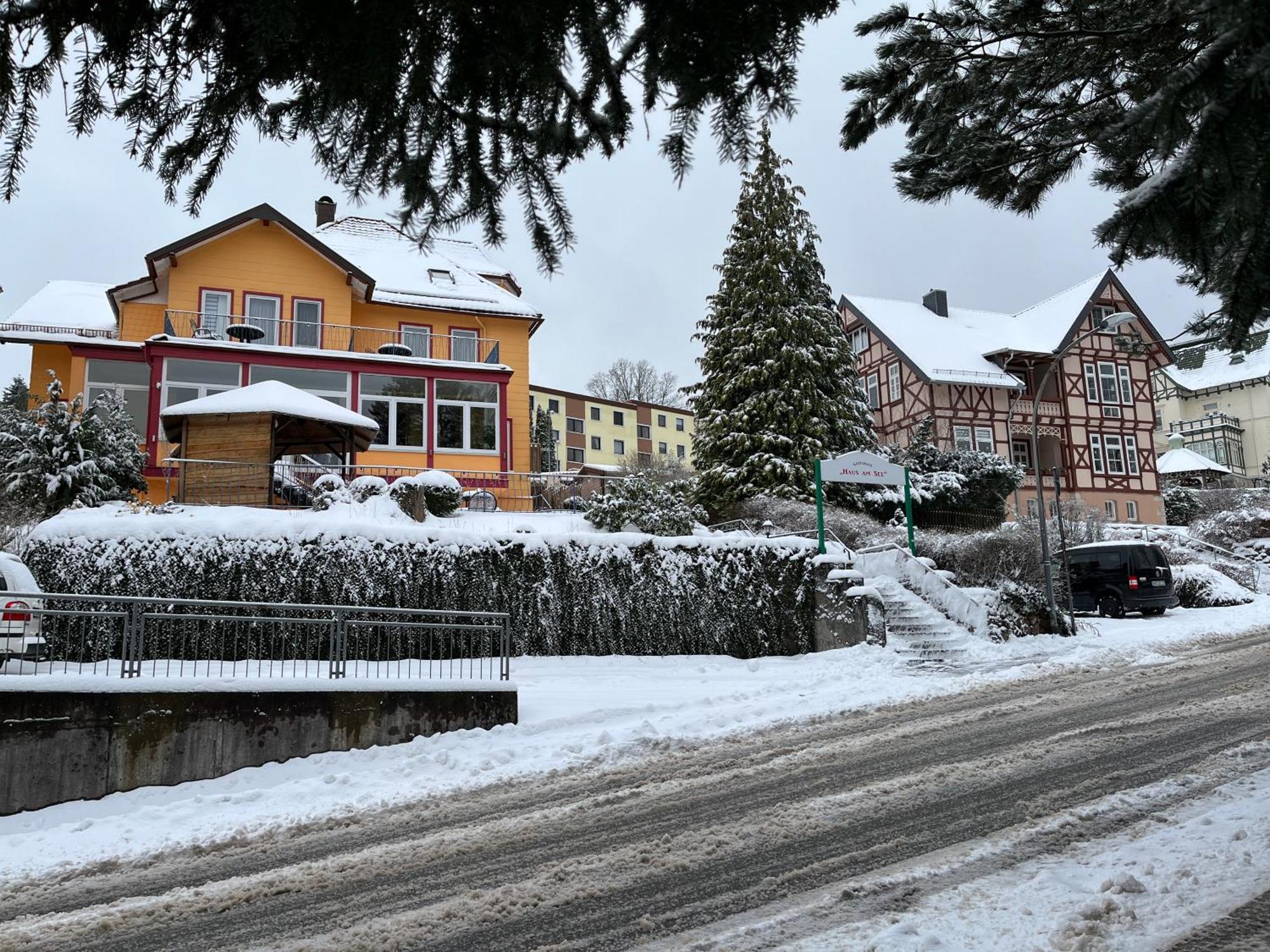 Haus Am See Bad Sachsa Exterior foto